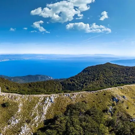 Apartman Hana Ičići